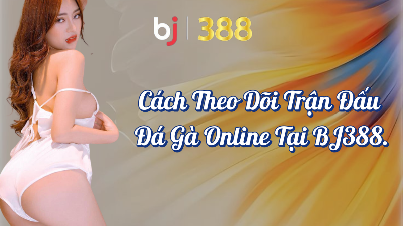 Cách theo dõi trận đấu đá gà online tại BJ388