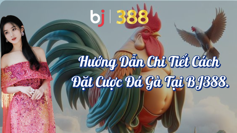 Hướng dẫn chi tiết cách đặt cược đá gà tại BJ388