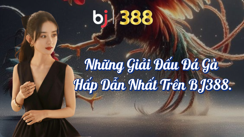 Những giải đấu đá gà hấp dẫn nhất trên BJ388