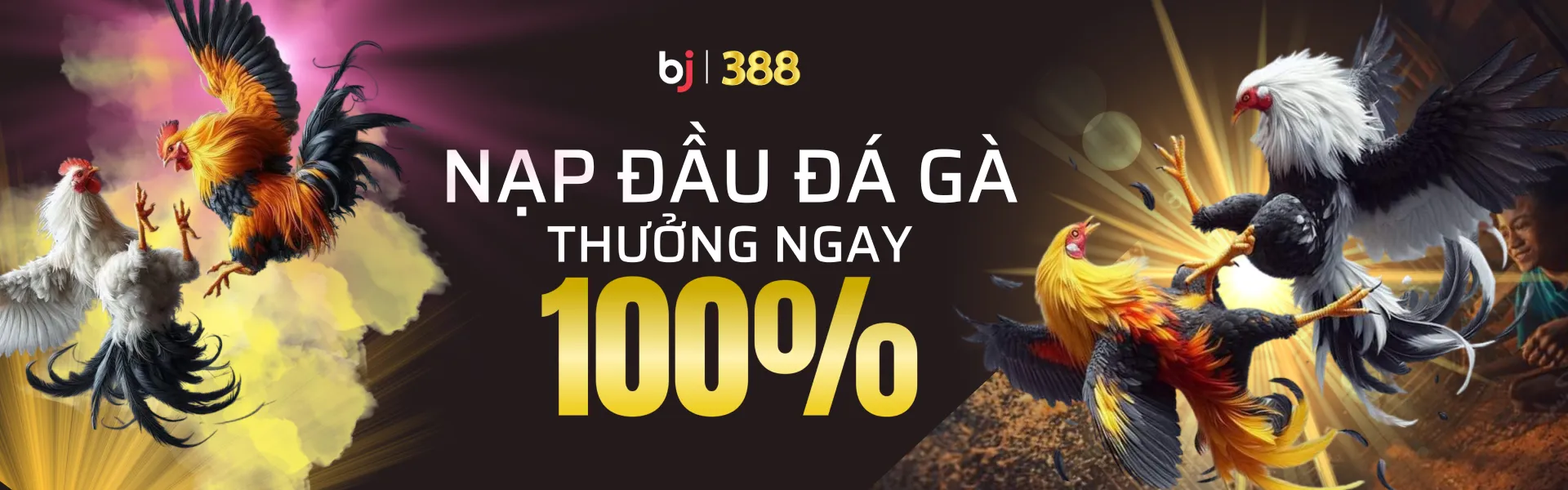 bj388 nạp đầu đá gà